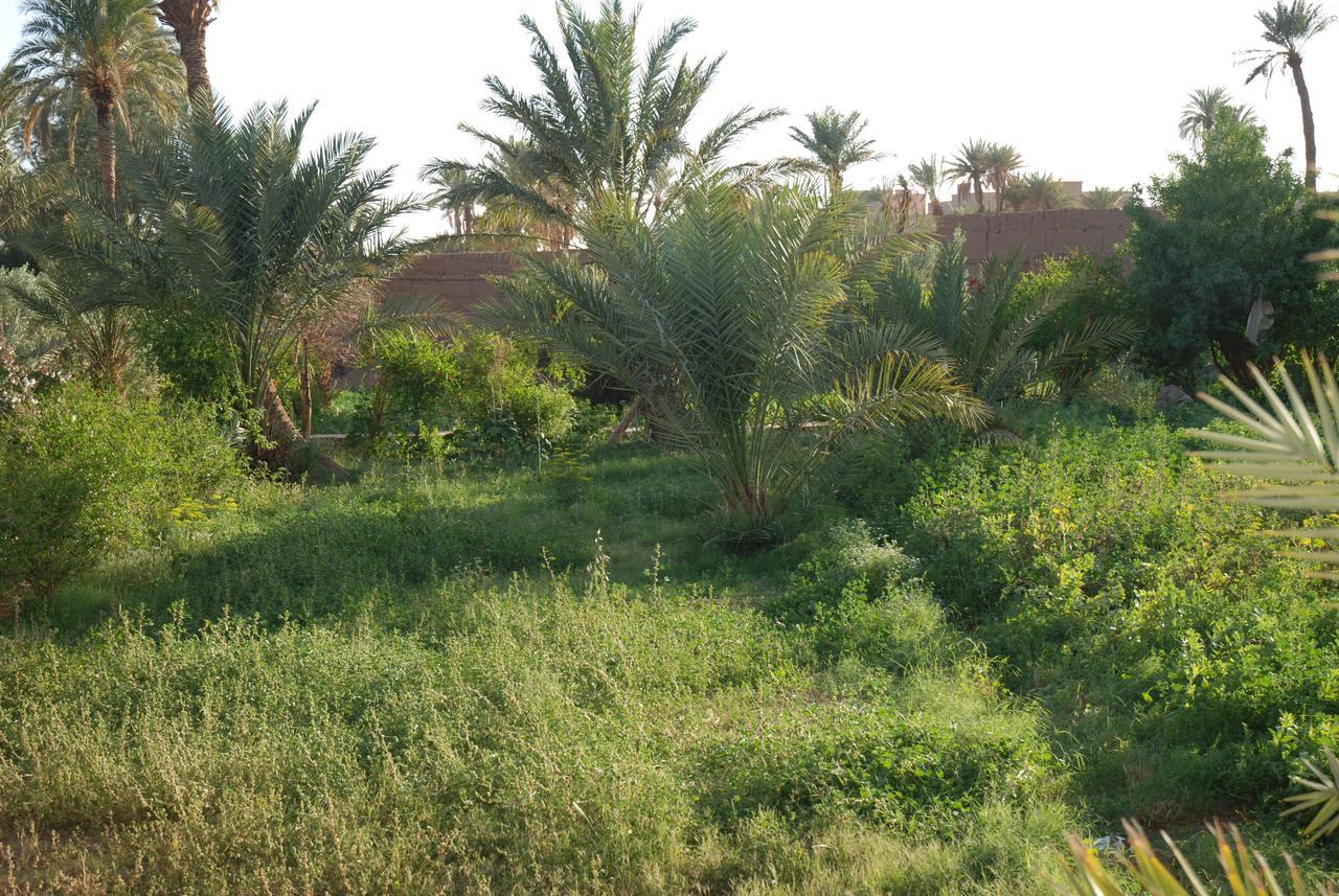 D'Hote Jnane-Dar Diafa Tamgrout Exteriör bild